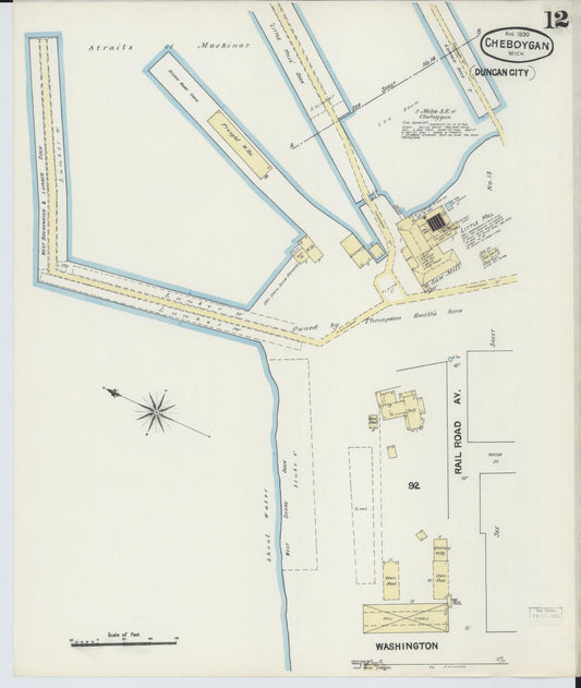 Sanborn Fire Insurance Map from Cheboygan, Cheboygan County, Michigan (1890), Sheet #0012 - Historic Sanborn Fire Insurance Map Print, vintage old map wall art, antique decor, genealogy gift, Michigan Michigan map