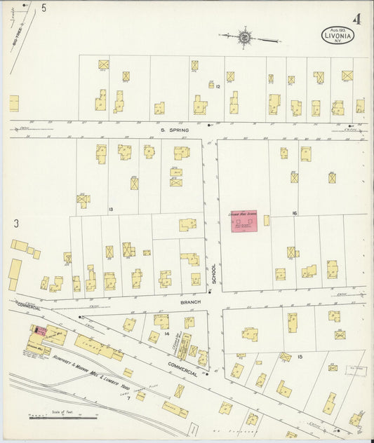 Sanborn Fire Insurance Map from Livonia, Livingston County, New York (1913), Sheet #0004 - Historic Sanborn Fire Insurance Map Print, vintage old map wall art, antique decor, genealogy gift, New York New York map