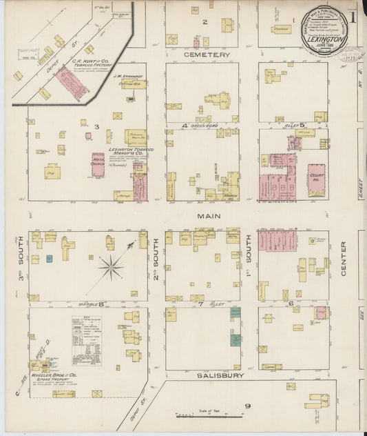 Sanborn Fire Insurance Map from Lexington, Davidson County, North Carolina (1885), Sheet #0001 - Complete Map Set gallery image, historic Sanborn map, vintage wall art, North Carolina North Carolina