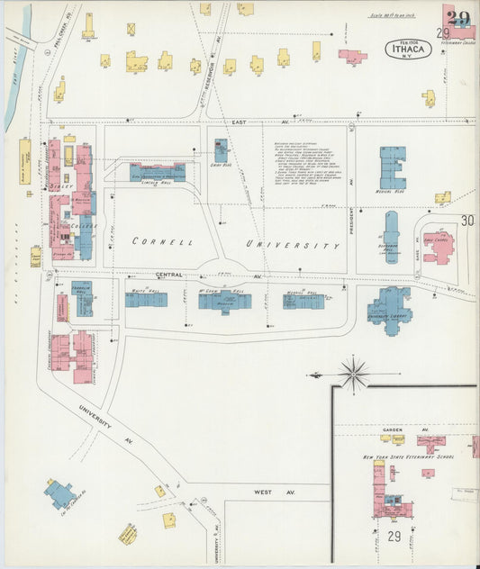 Sanborn Fire Insurance Map from Ithaca, Tompkins County, New York (1904), Sheet #0029 - Historic Sanborn Fire Insurance Map Print, vintage old map wall art, antique decor, genealogy gift, New York New York map