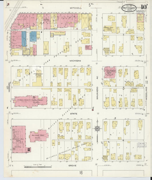 Sanborn Fire Insurance Map from Petoskey, Emmet County, Michigan (1913), Sheet #0010 - Historic Sanborn Fire Insurance Map Print, vintage old map wall art, antique decor, genealogy gift, Michigan Michigan map