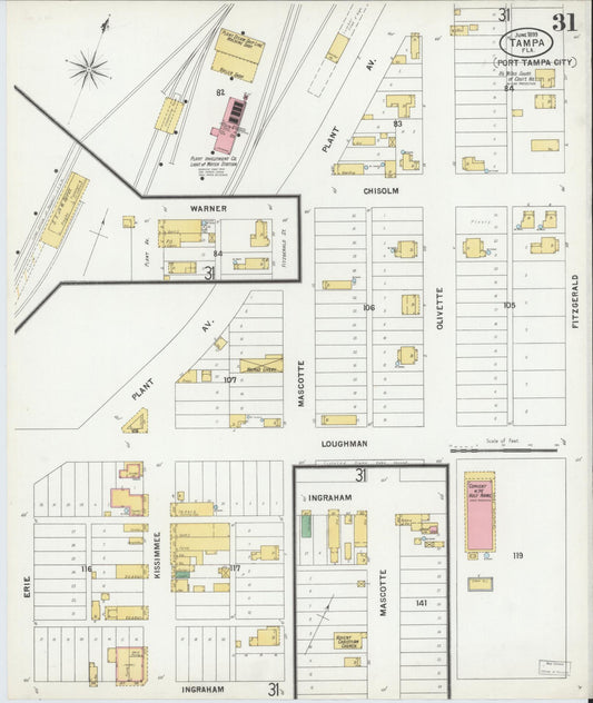 Sanborn Fire Insurance Map from Tampa, Hillsborough County, Florida (1899), Sheet #0031 - Historic Sanborn Fire Insurance Map Print, vintage old map wall art, antique decor, genealogy gift, Florida Florida map
