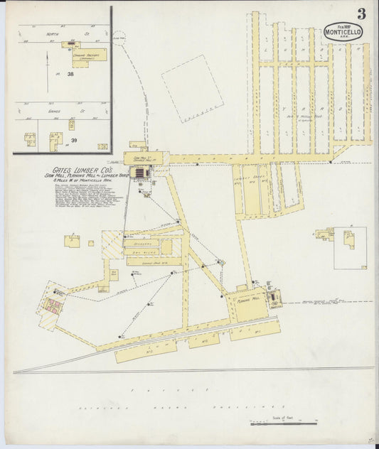 Sanborn Fire Insurance Map from Monticello, Drew County, Arkansas (1897), Sheet #0003 - Historic Sanborn Fire Insurance Map Print, vintage old map wall art, antique decor, genealogy gift, Arkansas Arkansas map
