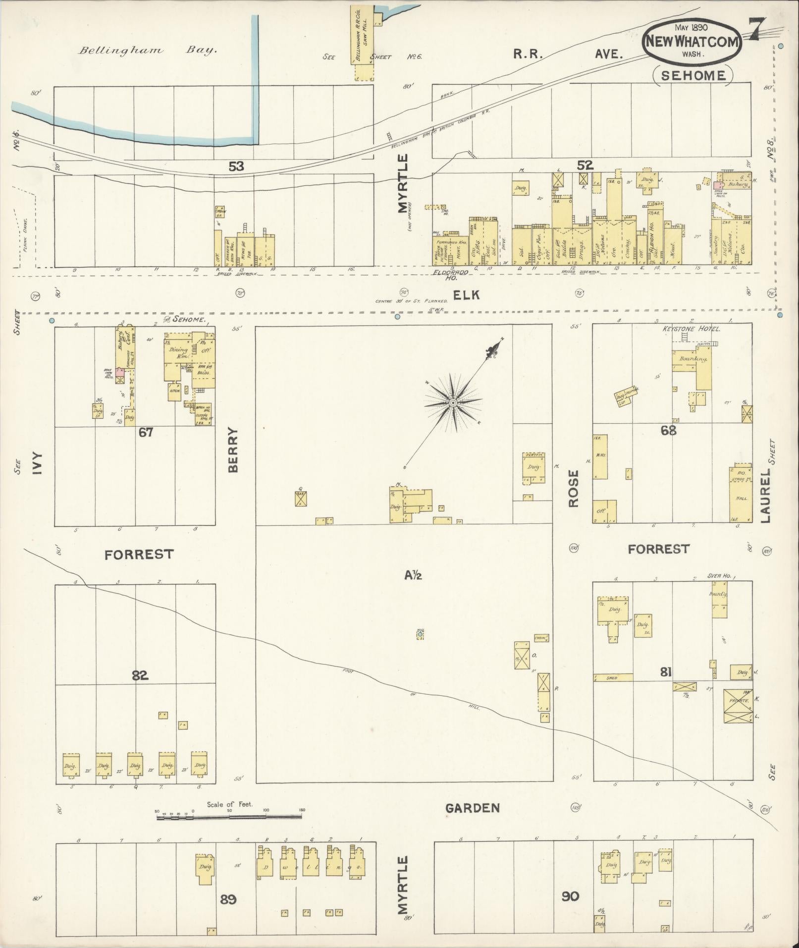 Sanborn Fire Insurance Map from New Whatcom, Whatcom County, Washington (1890), Sheet #0007 - Historic Sanborn Fire Insurance Map Print, vintage old map wall art, antique decor, genealogy gift, Washington Washington map