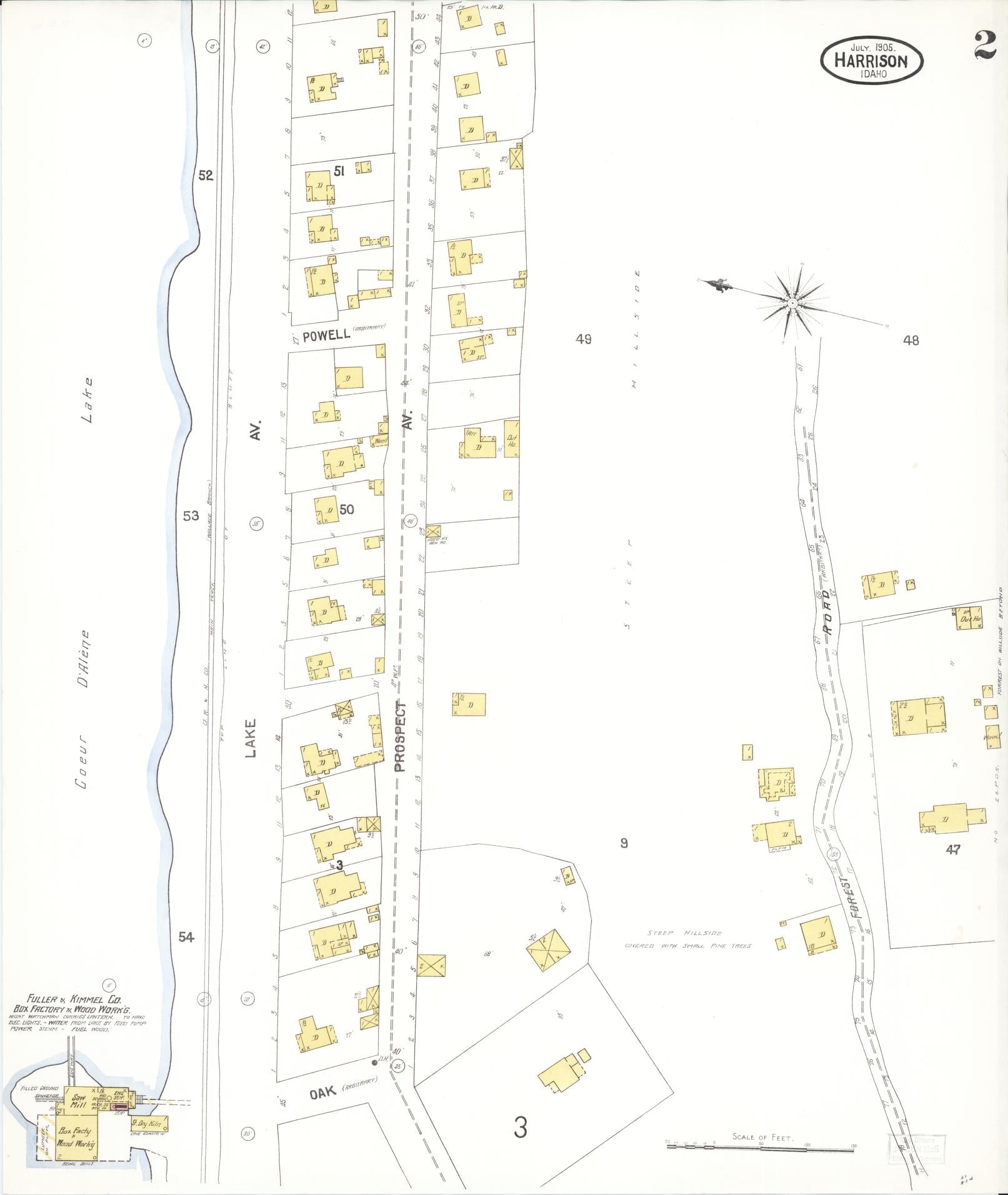 Sanborn Fire Insurance Map from Harrison, Kootenai County, Idaho (1905), Sheet #0002 - Complete Map Set gallery image, historic Sanborn map, vintage wall art, Idaho Idaho