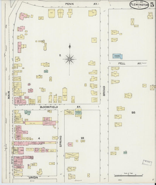 Sanborn Fire Insurance Map from Flemington, Hunterdon County, New Jersey (1890), Sheet #0005 - Historic Sanborn Fire Insurance Map Print, vintage old map wall art, antique decor, genealogy gift, New Jersey New Jersey map