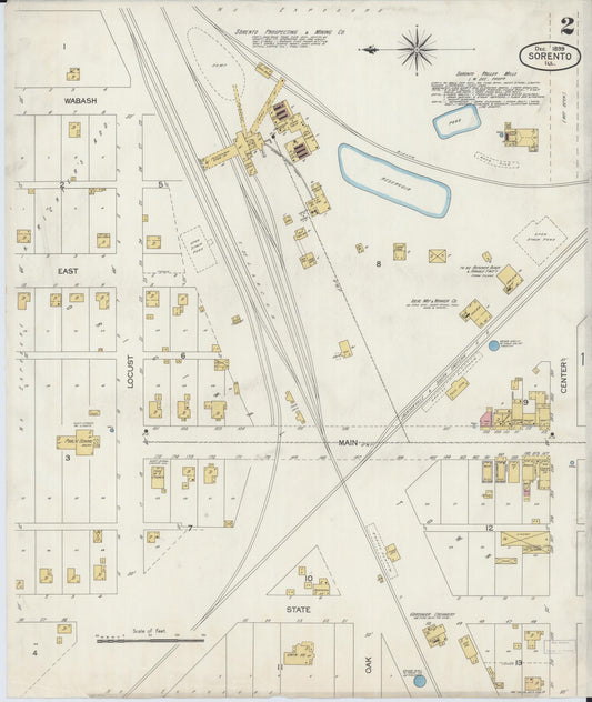 Sanborn Fire Insurance Map from Sorento, Bond County, Illinois (1899), Sheet #0002 - Historic Sanborn Fire Insurance Map Print, vintage old map wall art, antique decor, genealogy gift, Illinois Illinois map