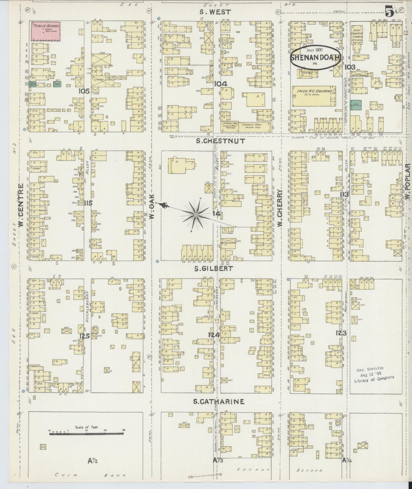 Sanborn Fire Insurance Map from Shenandoah, Schuylkill County, Pennsylvania (1891), Sheet #0005 - Complete Map Set gallery image, historic Sanborn map, vintage wall art, Pennsylvania Pennsylvania