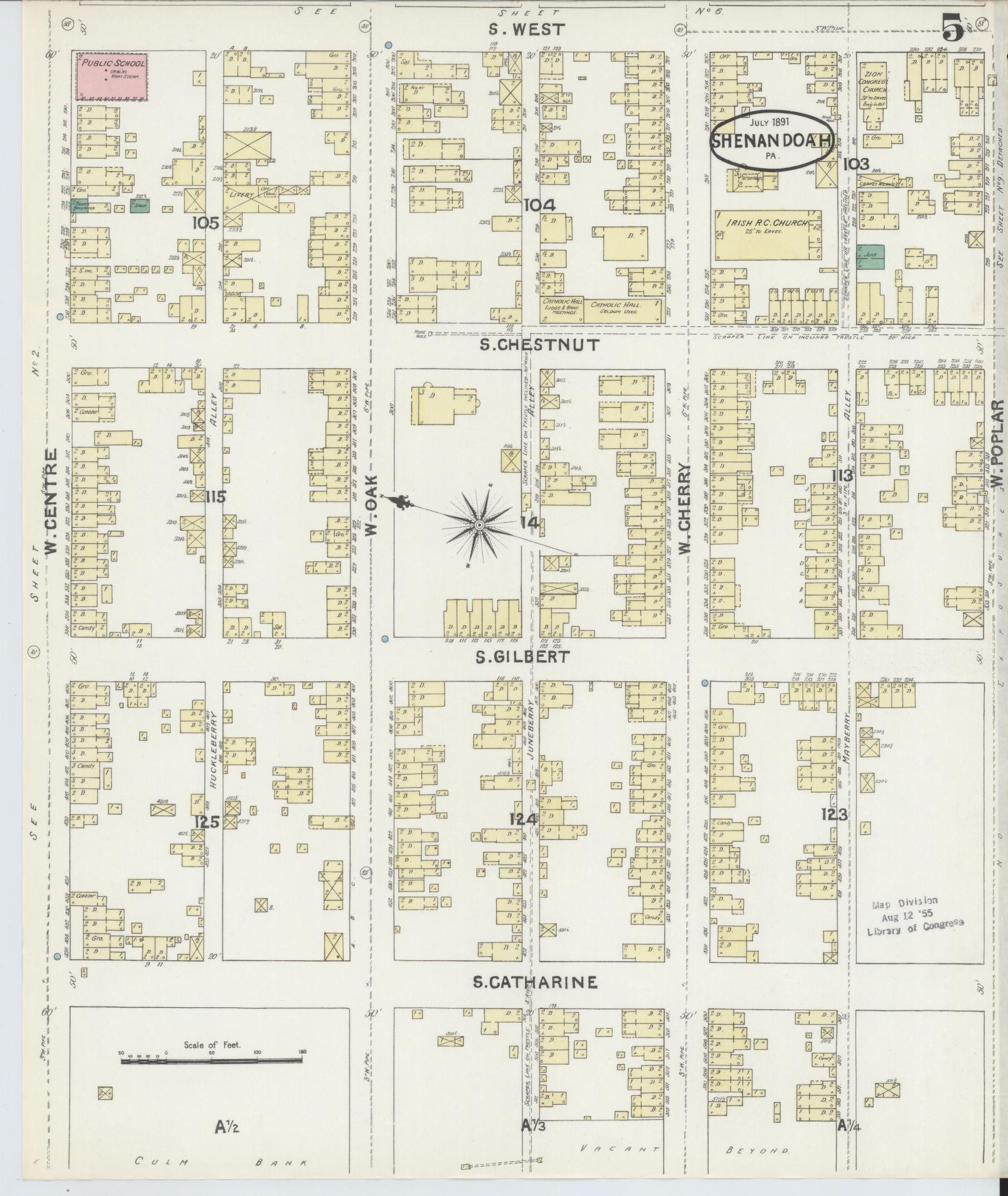 Sanborn Fire Insurance Map from Shenandoah, Schuylkill County, Pennsylvania (1891), Sheet #0005 - Complete Map Set gallery image, historic Sanborn map, vintage wall art, Pennsylvania Pennsylvania