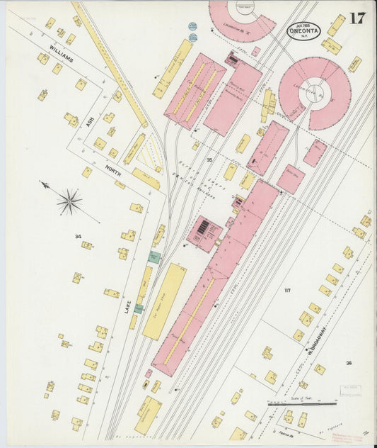 Sanborn Fire Insurance Map from Oneonta, Otsego County, New York (1905), Sheet #0017 - Historic Sanborn Fire Insurance Map Print, vintage old map wall art, antique decor, genealogy gift, New York New York map