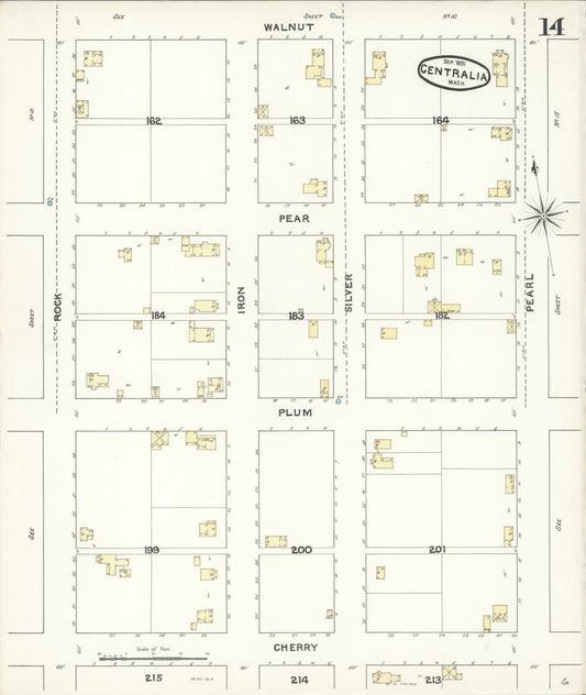 Sanborn Fire Insurance Map from Centralia, Lewis County, Washington (1891), Sheet #0014 - Historic Sanborn Fire Insurance Map Print, vintage old map wall art, antique decor, genealogy gift, Washington Washington map