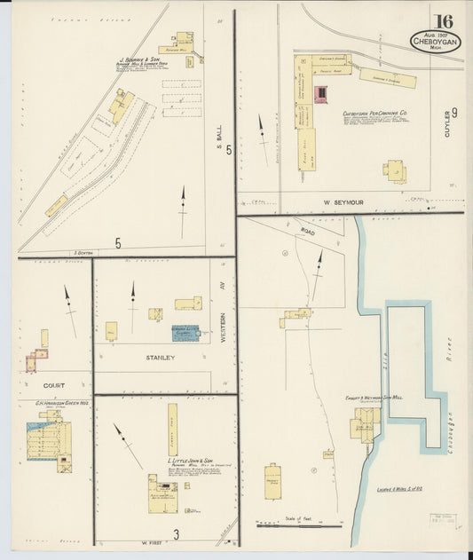 Sanborn Fire Insurance Map from Cheboygan, Cheboygan County, Michigan (1907), Sheet #0016 - Historic Sanborn Fire Insurance Map Print, vintage old map wall art, antique decor, genealogy gift, Michigan Michigan map
