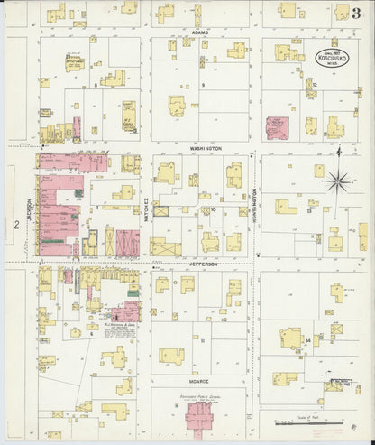 Sanborn Fire Insurance Map from Kosciusko, Attala County, Mississippi (1907), Sheet #0003 - Complete Map Set gallery image, historic Sanborn map, vintage wall art, Mississippi Mississippi