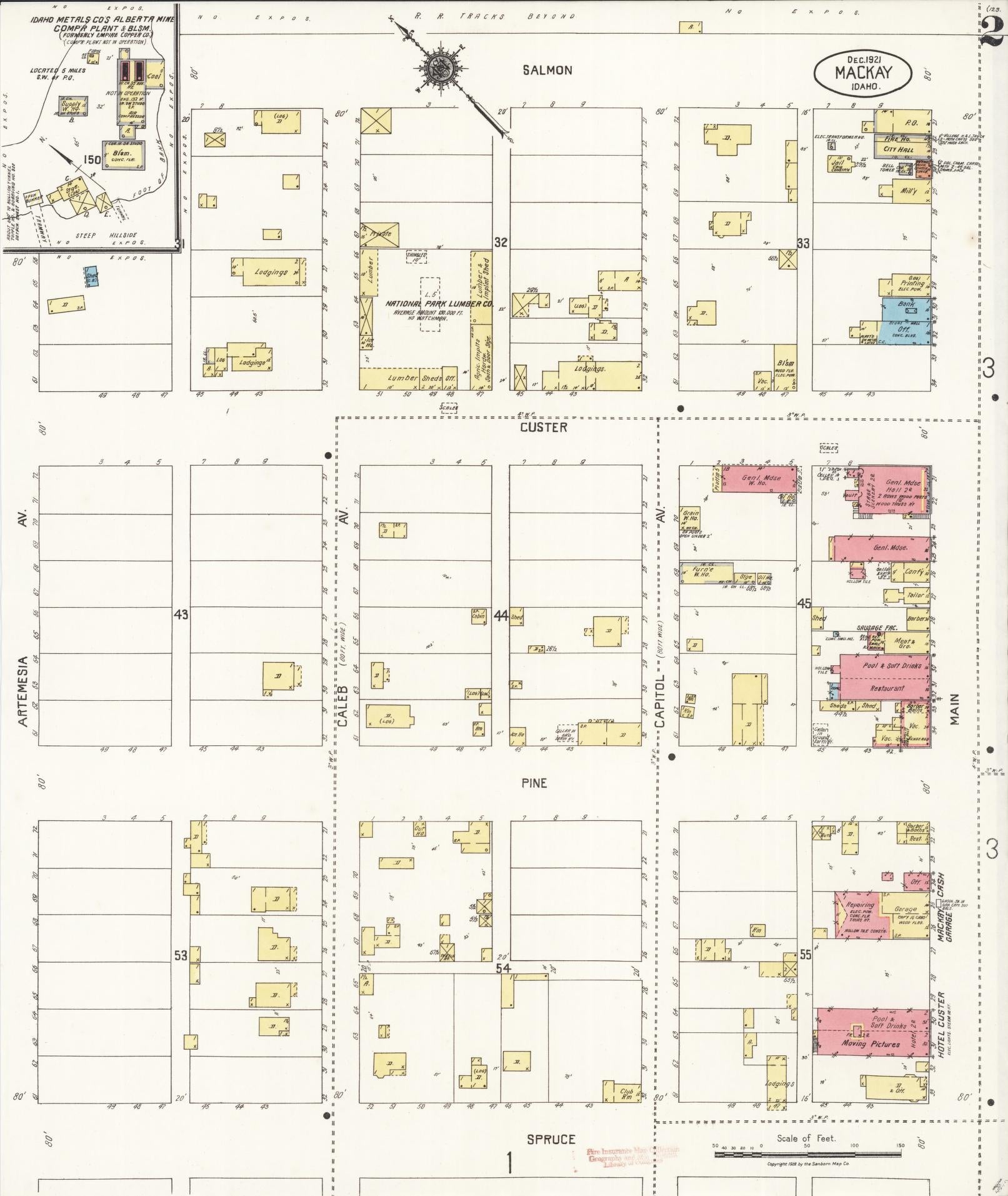 Sanborn Fire Insurance Map from Mackay, Custer County, Idaho (1921), Sheet #0002 - Historic Sanborn Fire Insurance Map Print, vintage old map wall art, antique decor, genealogy gift, Idaho Idaho map