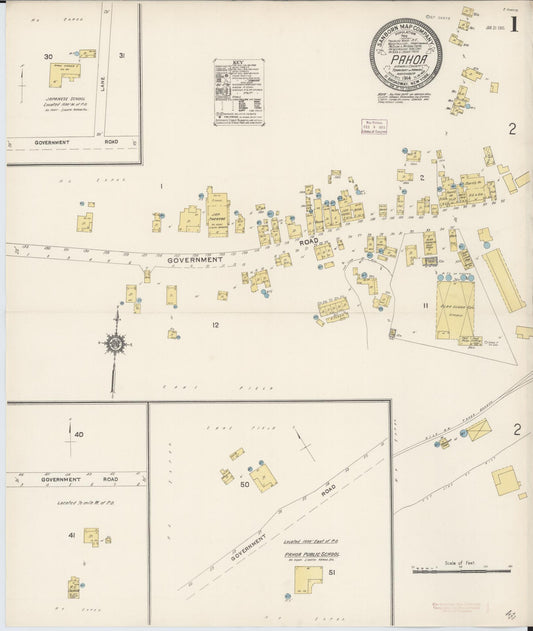 Sanborn Fire Insurance Map from Pahoa, Hawaii County, Hawaii (1914), Sheet #0001 - Historic Sanborn Fire Insurance Map Print, vintage old map wall art, antique decor, genealogy gift, Pahoa Hawaii map