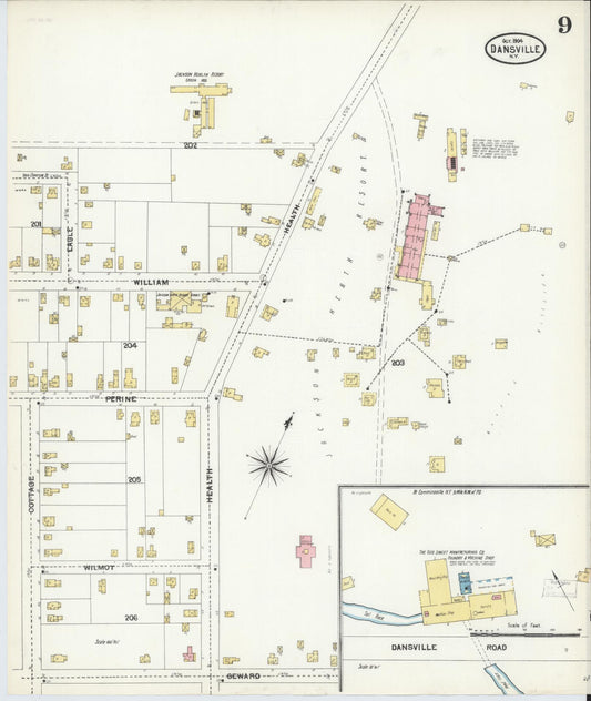 Sanborn Fire Insurance Map from Dansville, Livingston County, New York (1904), Sheet #0009 - Historic Sanborn Fire Insurance Map Print, vintage old map wall art, antique decor, genealogy gift, New York New York map