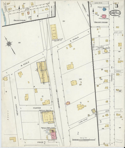Sanborn Fire Insurance Map from Umatilla, Lake County, Florida (1920), Sheet #0003 - Historic Sanborn Fire Insurance Map Print, vintage old map wall art, antique decor, genealogy gift, Florida Florida map