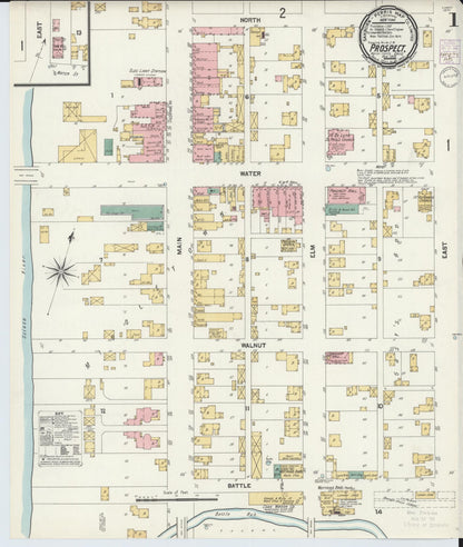 Sanborn Fire Insurance Map from Prospect, Marion County, Ohio (1901), Sheet #0001 - Historic Sanborn Fire Insurance Map Print, vintage old map wall art, antique decor, genealogy gift, Ohio Ohio map