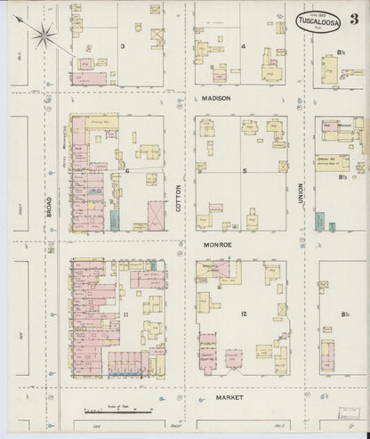 Sanborn Fire Insurance Map from Tuscaloosa, Tuscaloosa County, Alabama (1889), Sheet #0003 - Complete Map Set gallery image, historic Sanborn map, vintage wall art, Alabama Alabama