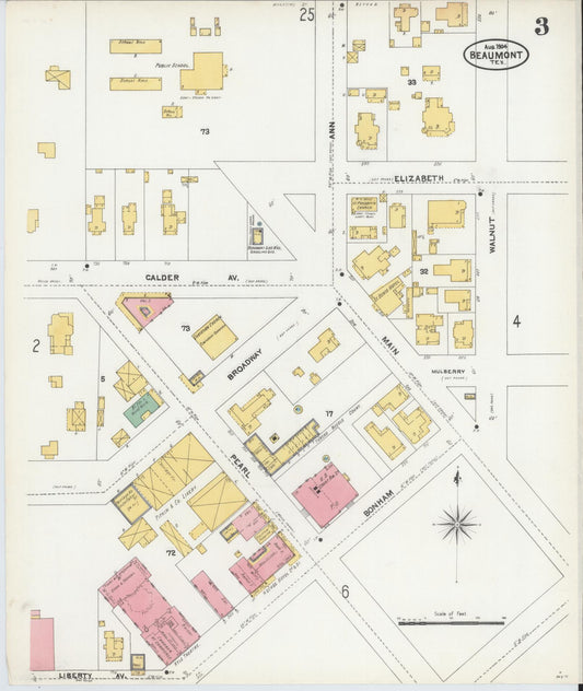 Sanborn Fire Insurance Map from Beaumont, Jefferson County, Texas (1904), Sheet #0003 - Historic Sanborn Fire Insurance Map Print, vintage old map wall art, antique decor, genealogy gift, Texas Texas map