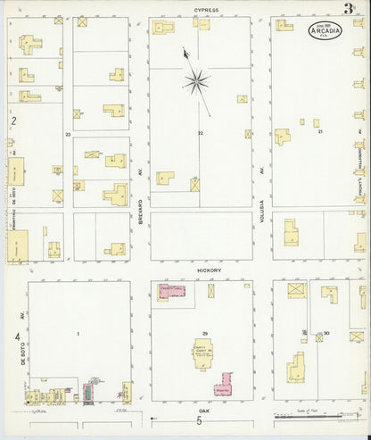 Sanborn Fire Insurance Map from Arcadia, DeSoto County, Florida (1909), Sheet #0003 - Complete Map Set gallery image, historic Sanborn map, vintage wall art, Florida Florida