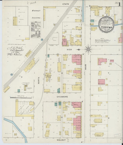 Sanborn Fire Insurance Map from Tiskilwa, Bureau County, Illinois (1894), Sheet #0001 - Historic Sanborn Fire Insurance Map Print, vintage old map wall art, antique decor, genealogy gift, Illinois Illinois map