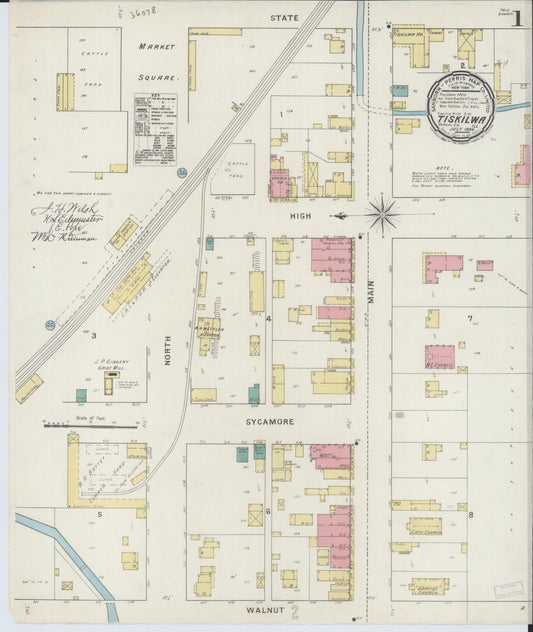 Sanborn Fire Insurance Map from Tiskilwa, Bureau County, Illinois (1894), Sheet #0001 - Historic Sanborn Fire Insurance Map Print, vintage old map wall art, antique decor, genealogy gift, Illinois Illinois map