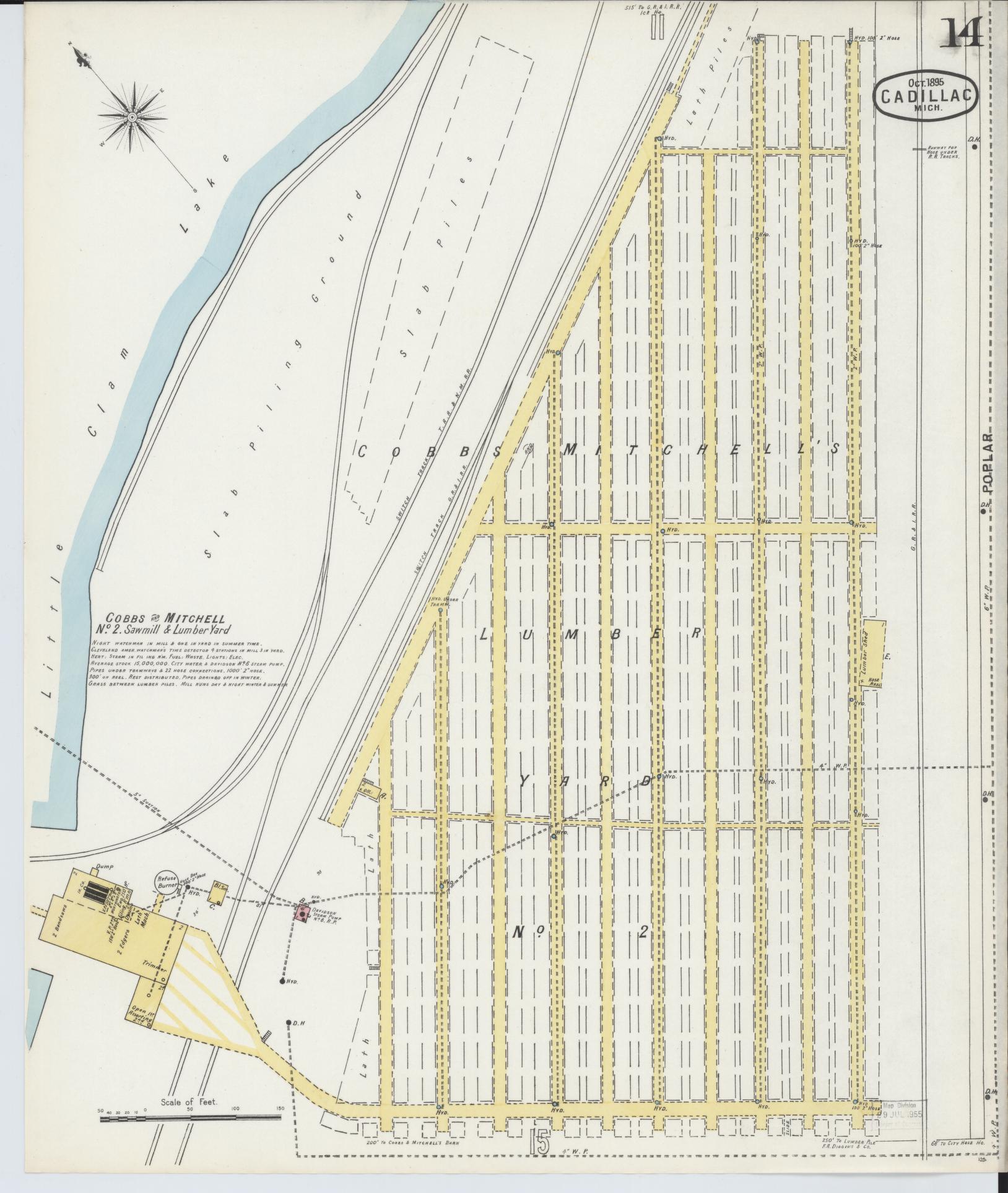 Sanborn Fire Insurance Map from Cadillac, Wexford County, Michigan (1895), Sheet #0014 - Historic Sanborn Fire Insurance Map Print, vintage old map wall art, antique decor, genealogy gift, Michigan Michigan map