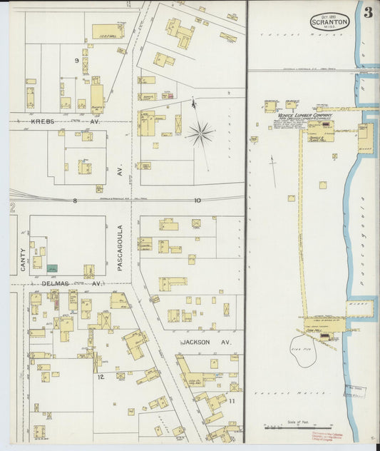 Sanborn Fire Insurance Map from Scranton, Jackson County, Mississippi (1893), Sheet #0003 - Historic Sanborn Fire Insurance Map Print, vintage old map wall art, antique decor, genealogy gift, Mississippi Mississippi map