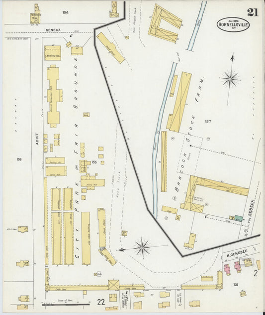 Sanborn Fire Insurance Map from Hornell, Steuben County, New York (1898), Sheet #0021 - Historic Sanborn Fire Insurance Map Print, vintage old map wall art, antique decor, genealogy gift, New York New York map