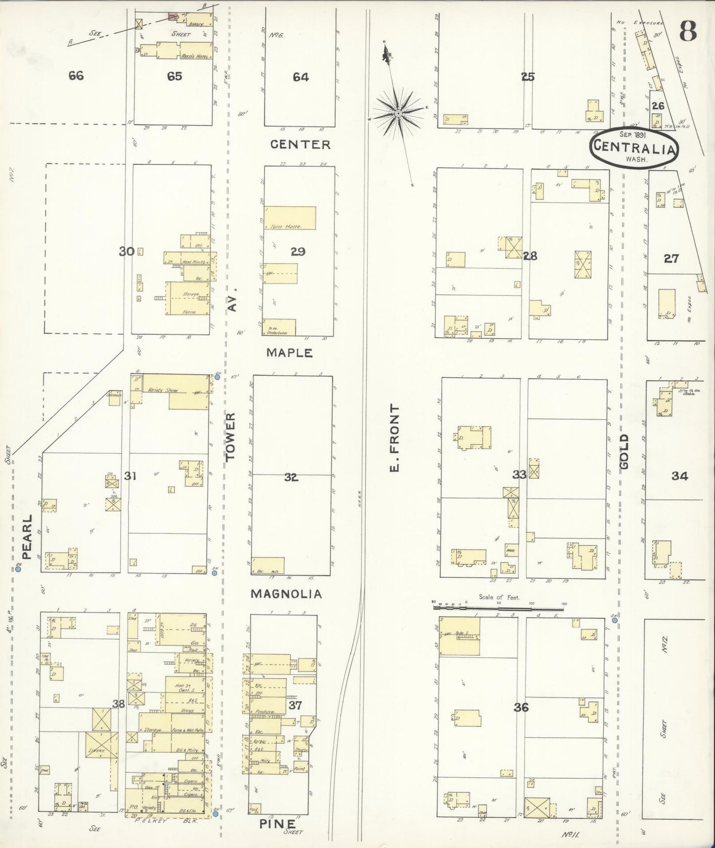 Sanborn Fire Insurance Map from Centralia, Lewis County, Washington (1891), Sheet #0008 - Complete Map Set gallery image, historic Sanborn map, vintage wall art, Washington Washington