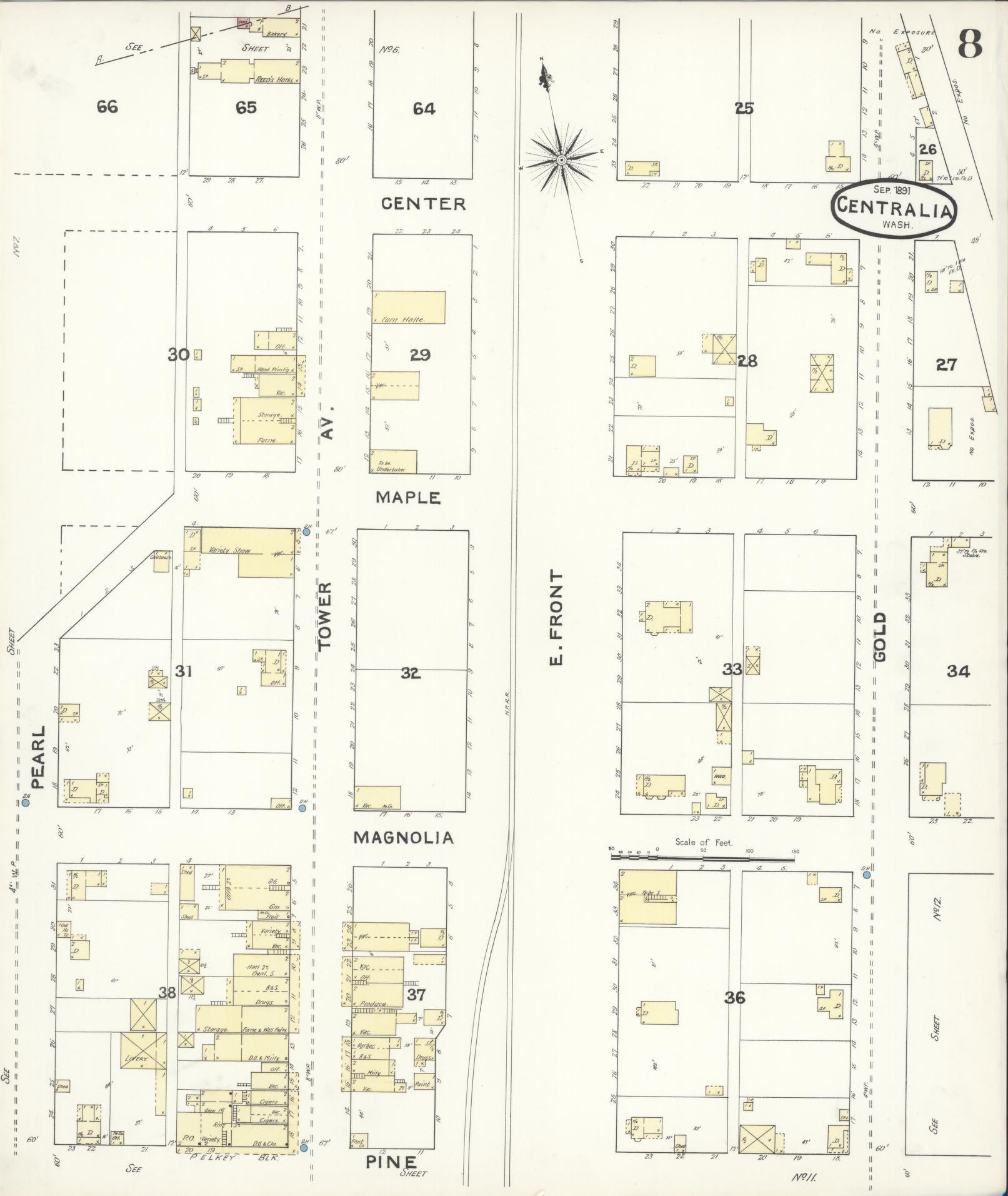 Sanborn Fire Insurance Map from Centralia, Lewis County, Washington (1891), Sheet #0008 - Complete Map Set gallery image, historic Sanborn map, vintage wall art, Washington Washington