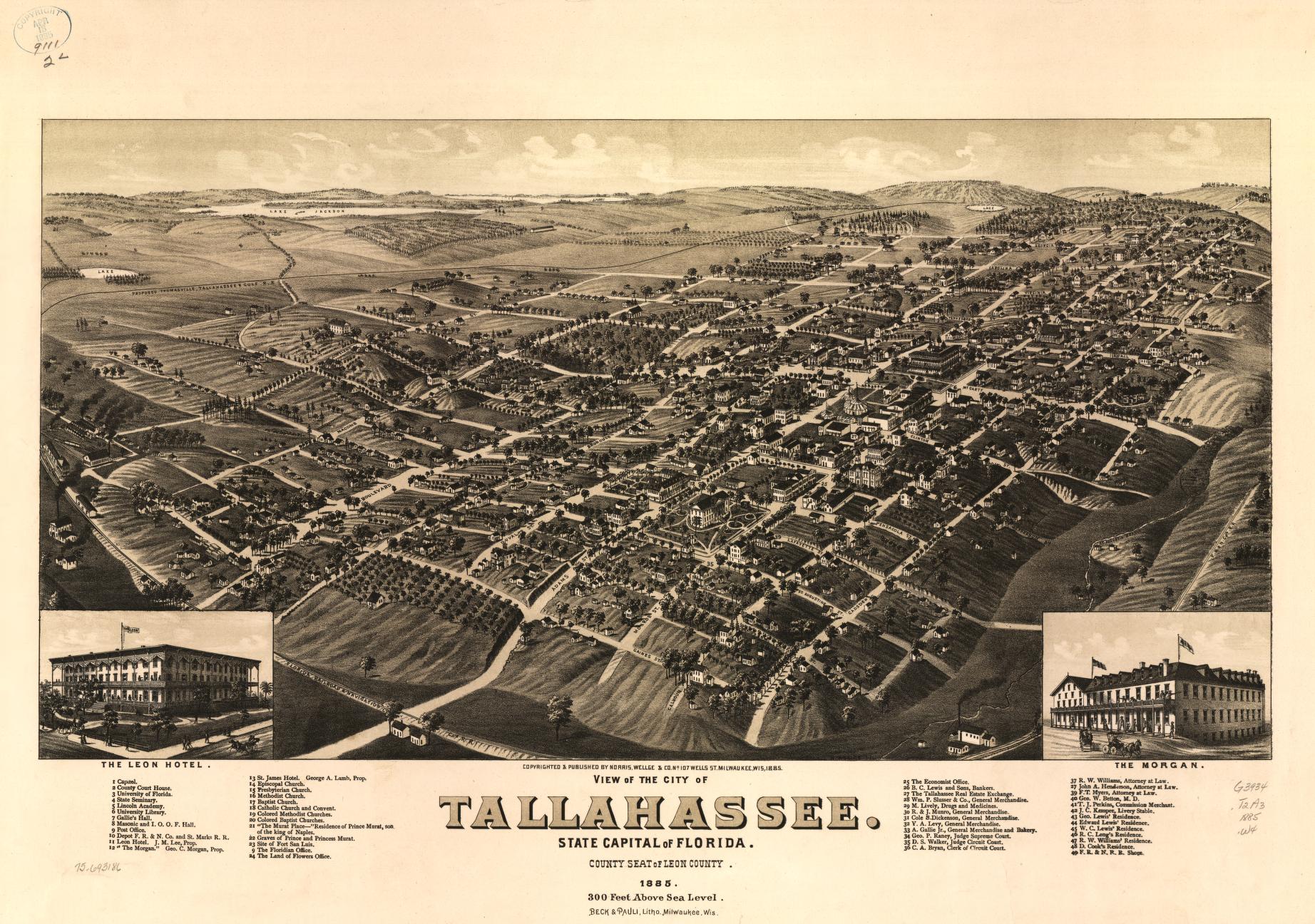 View of the city of Tallahassee. State capital of Florida, county seat of Leon county 1885. (1885) – Historic Bird’s-Eye View Panorama Print