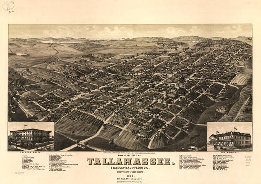View of the city of Tallahassee. State capital of Florida, county seat of Leon county 1885. (1885) – Historic Bird’s-Eye View Panorama Print