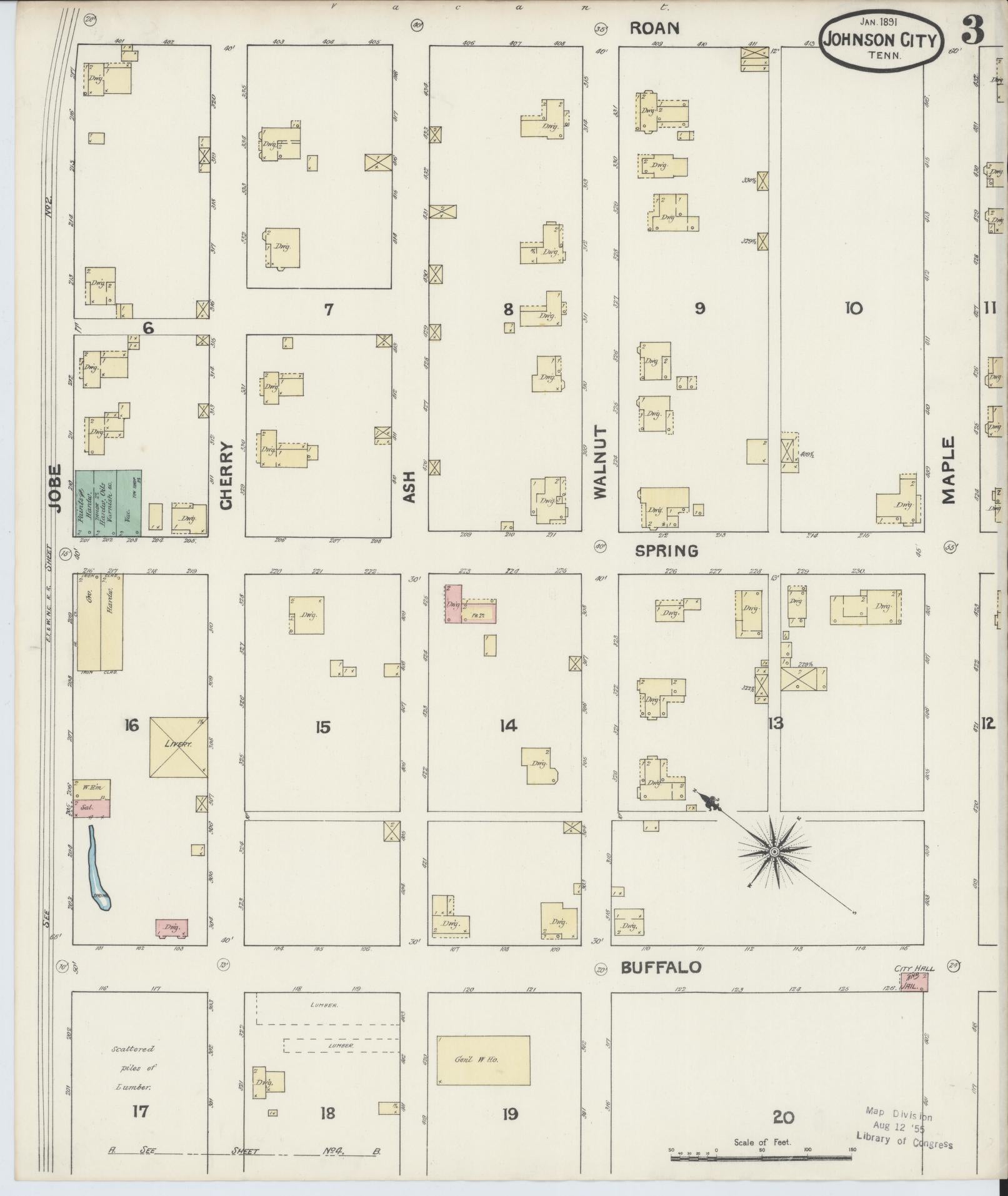 Sanborn Fire Insurance Map from Johnson City, Washington County, Tennessee (1891), Sheet #0003 - Historic Sanborn Fire Insurance Map Print, vintage old map wall art, antique decor, genealogy gift, Tennessee Tennessee map