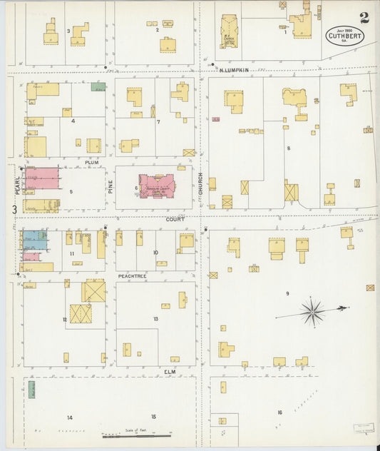 Sanborn Fire Insurance Map from Cuthbert, Randolph County, Georgia (1900), Sheet #0002 - Historic Sanborn Fire Insurance Map Print, vintage old map wall art, antique decor, genealogy gift, Georgia Georgia map
