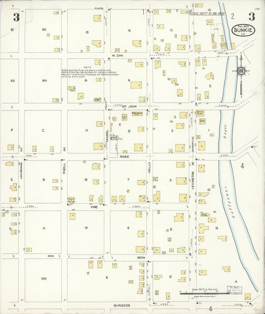 Sanborn Fire Insurance Map from Bunkie, Avoyelles Parish, Louisiana (1923), Sheet #0003 - Historic Sanborn Fire Insurance Map Print, vintage old map wall art, antique decor, genealogy gift, Louisiana Louisiana map