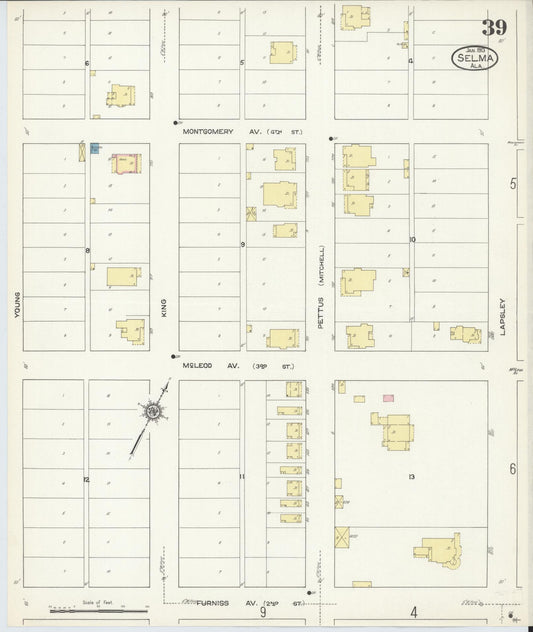 Sanborn Fire Insurance Map from Selma, Dallas County, Alabama (1913), Sheet #0039 - Historic Sanborn Fire Insurance Map Print, vintage old map wall art, antique decor, genealogy gift, Alabama Alabama map