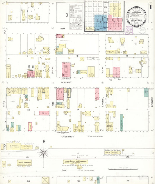 Sanborn Fire Insurance Map from Genesee, Latah County, Idaho (1901), Sheet #0001 - Historic Sanborn Fire Insurance Map Print, vintage old map wall art, antique decor, genealogy gift, Idaho Idaho map