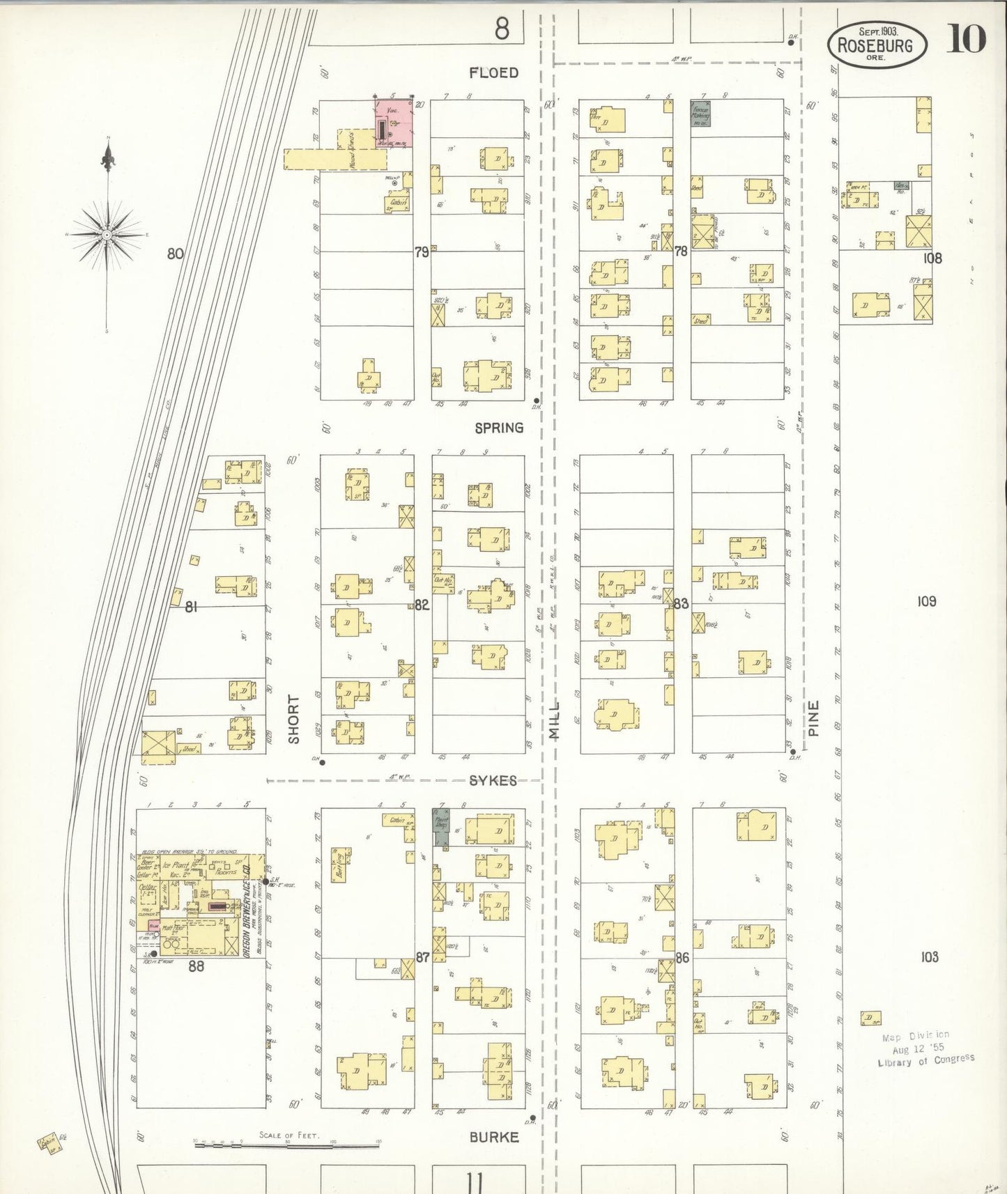 Sanborn Fire Insurance Map from Roseburg, Douglas County, Oregon (1903), Sheet #0010 - Complete Map Set gallery image, historic Sanborn map, vintage wall art, Oregon Oregon
