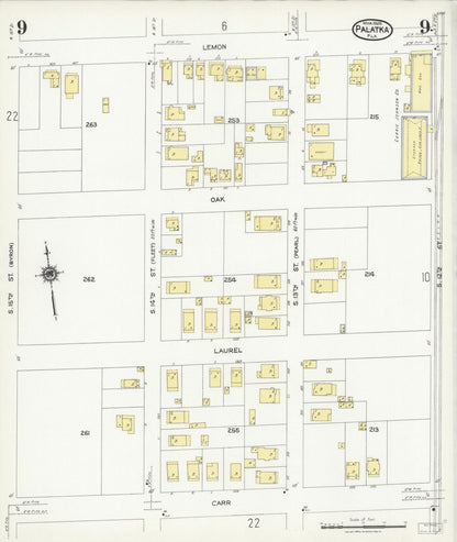 Sanborn Fire Insurance Map from Palatka, Putnam County, Florida (1924), Sheet #0009 - Historic Sanborn Fire Insurance Map Print, vintage old map wall art, antique decor, genealogy gift, Florida Florida map