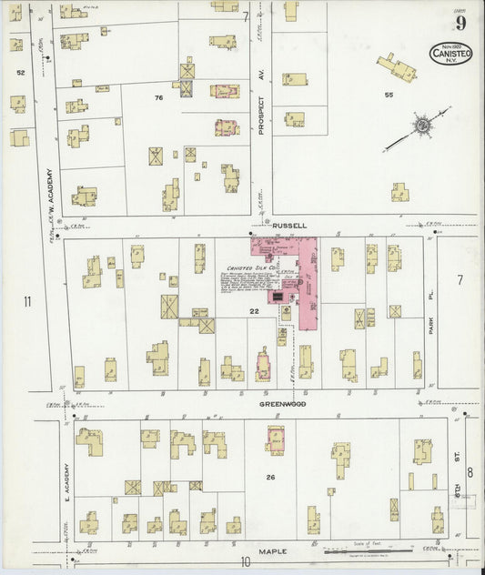 Sanborn Fire Insurance Map from Canisteo, Steuben County, New York (1920), Sheet #0009 - Historic Sanborn Fire Insurance Map Print, vintage old map wall art, antique decor, genealogy gift, New York New York map