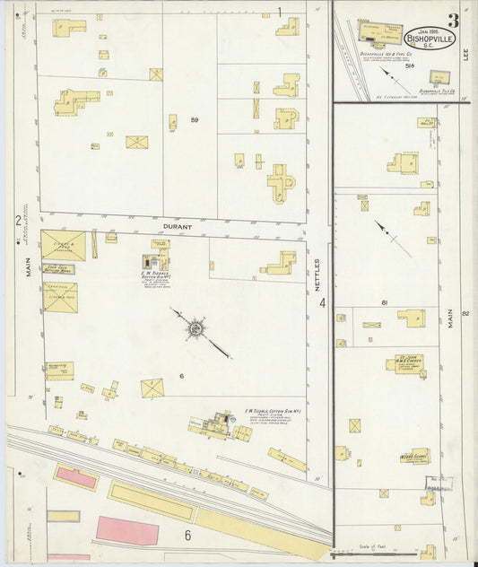 Sanborn Fire Insurance Map from Bishopville, Lee County, South Carolina (1916), Sheet #0003 - Historic Sanborn Fire Insurance Map Print, vintage old map wall art, antique decor, genealogy gift, South Carolina South Carolina map