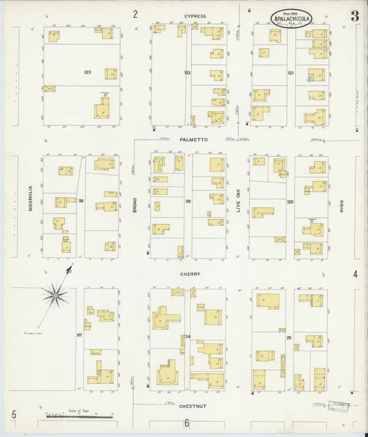 Sanborn Fire Insurance Map from Apalachicola, Franklin County, Florida (1909), Sheet #0003 - Complete Map Set gallery image, historic Sanborn map, vintage wall art, Florida Florida