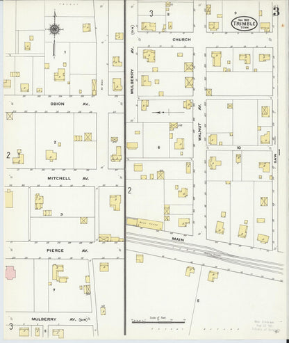 Sanborn Fire Insurance Map from Trimble, Dyer County, Tennessee (1909), Sheet #0003 - Complete Map Set gallery image, historic Sanborn map, vintage wall art, Tennessee Tennessee