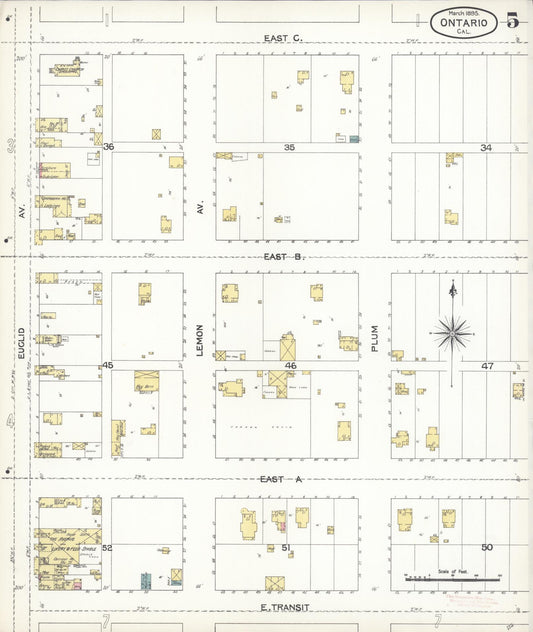 Sanborn Fire Insurance Map from Ontario, San Bernardino County, California (1895), Sheet #0005 - Historic Sanborn Fire Insurance Map Print, vintage old map wall art, antique decor, genealogy gift, California California map
