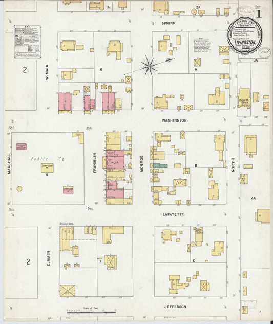 Sanborn Fire Insurance Map from Livingston, Sumter County, Alabama (1899), Sheet #0001 - Historic Sanborn Fire Insurance Map Print, vintage old map wall art, antique decor, genealogy gift, Alabama Alabama map