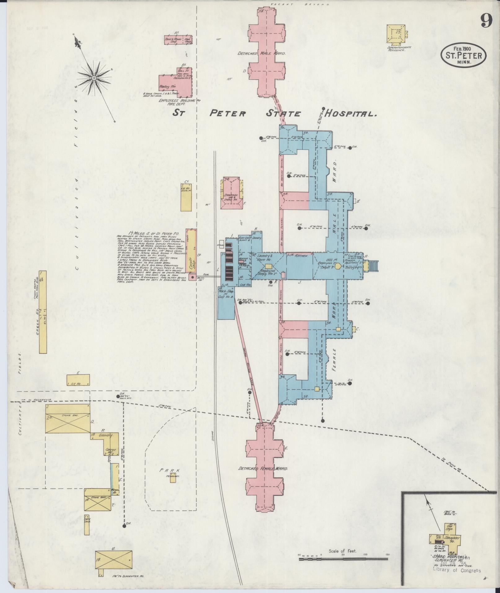 Sanborn Fire Insurance Map from Saint Peter, Nicollet County, Minnesota (1900), Sheet #0009 - Complete Map Set gallery image, historic Sanborn map, vintage wall art, Minnesota Minnesota