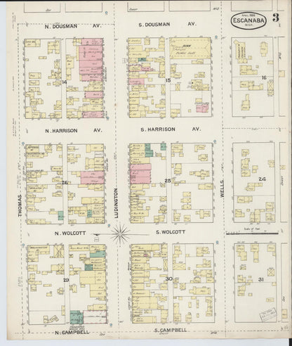 Sanborn Fire Insurance Map from Escanaba, Delta County, Michigan (1888), Sheet #0003 - Complete Map Set gallery image, historic Sanborn map, vintage wall art, Michigan Michigan