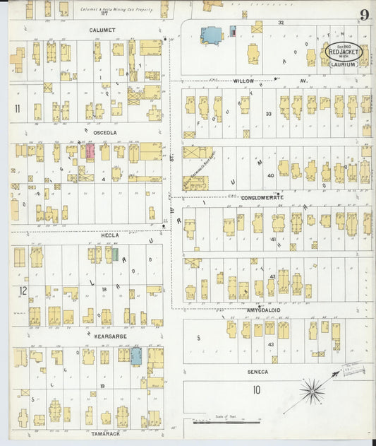 Sanborn Fire Insurance Map from Red Jacket, Houghton County, Michigan (1900), Sheet #0009 - Historic Sanborn Fire Insurance Map Print, vintage old map wall art, antique decor, genealogy gift, Michigan Michigan map